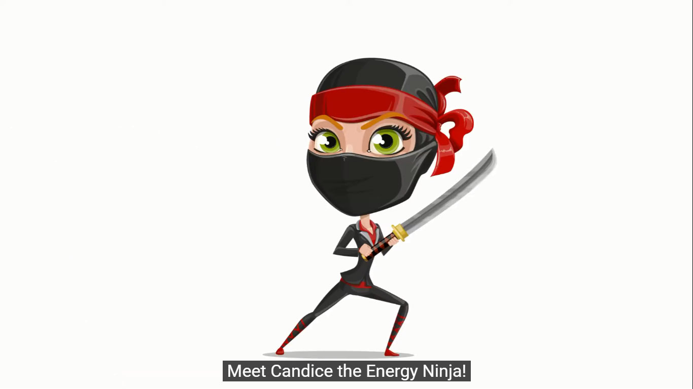 Energy-Ninja